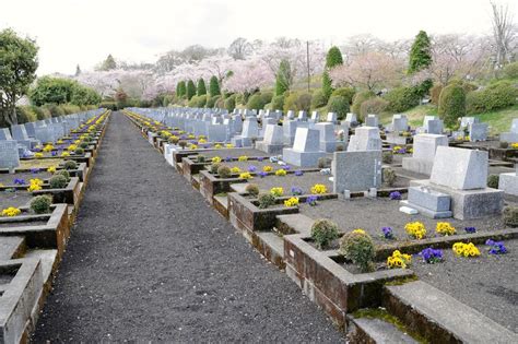 墓地種樹|お墓の植木は何がおすすめ？選び方・種類・お手入れ。